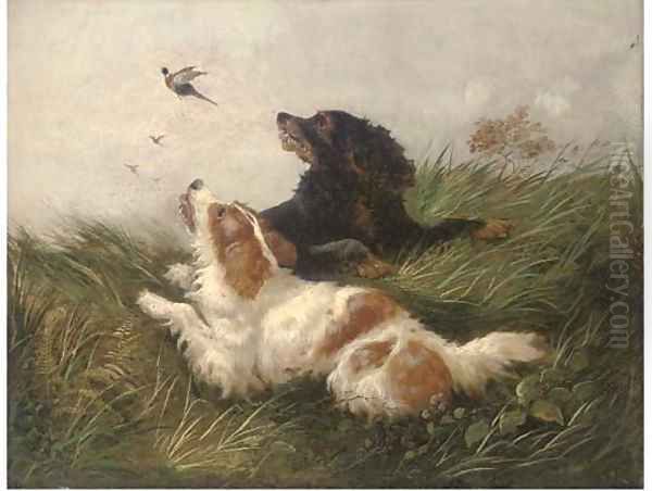 Spaniels flushing pheasants - view 1