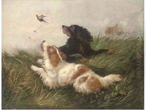Spaniels flushing pheasants by John Morris