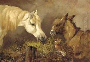 A horse, donkey, and a dove