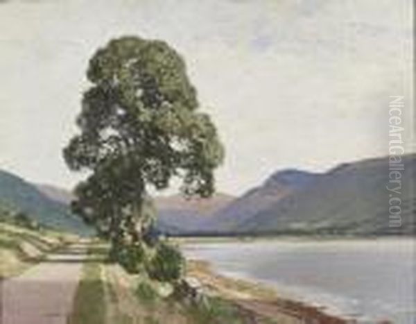 Loch Fyne Head - view 1