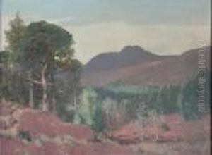 The Scots Pine by George Houston