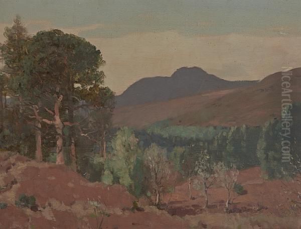 Ardkinglas - view 1