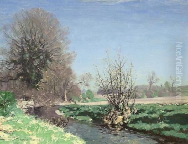A River Landscape In Spring - view 1