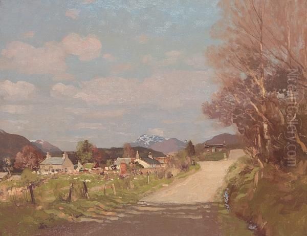 Spring Sunshine - view 1