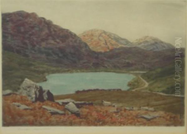 A Highland Loch - view 1