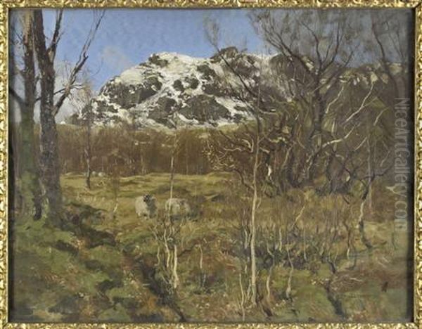 Snow In The Hills - view 1