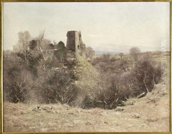 Gargunnoch Castle, Carse, Stirling - view 1