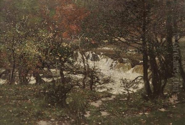 A River Landscape - view 1