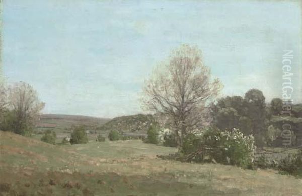 Braes O'doon - view 1