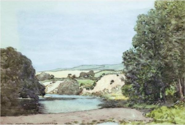 The Manse Pool, Colmonell - view 1