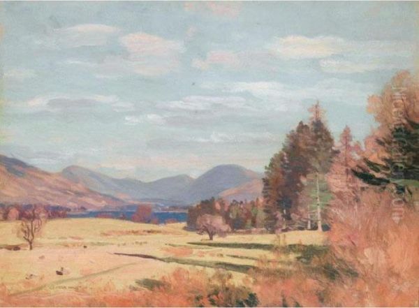 Autumn Sunlight - view 1