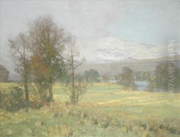 Spring In Thehighlands - view 1