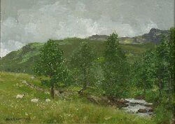 Grazing Sheep At The Head Of Loch Goil - view 1