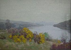 Gorse On The Lochside Gorse On The Lochside