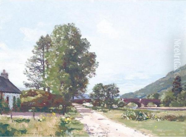 The Bridge At Stradbally - view 1