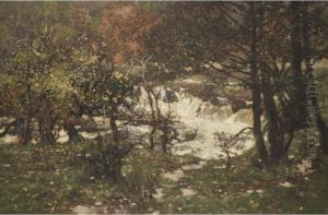The Woodland Stream by George Houston