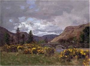 Highland Gorse by George Houston