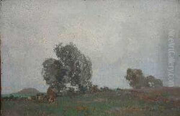 Cattle In An Open Meadow - view 1