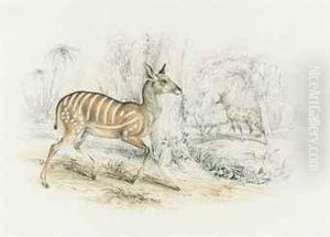 A Striped Antelope In A Tropical Landscape by Samuel Howitt