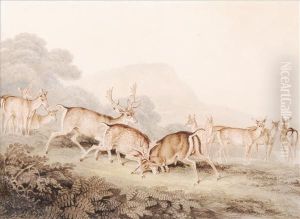 Rutting Stags by Samuel Howitt