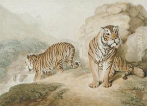 Two Bengal Tigers by Samuel Howitt