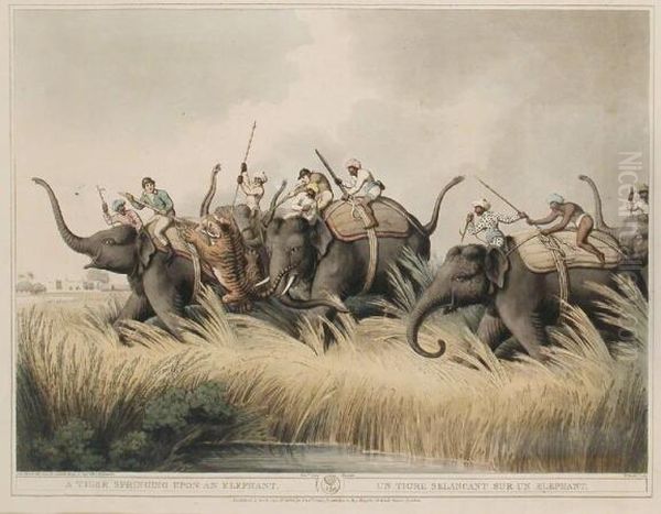 A Tiger Springing Upon An Elephant - view 1