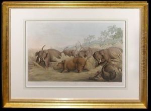 A Rhinoceros Hunted By Elephants by Samuel Howitt