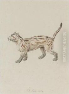 A Gemsbock; A Pampas Cat; A Fisher; A Member Of The Fishing Cat Family