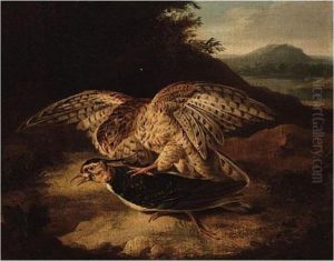 A Hawk And Plover by Samuel Howitt
