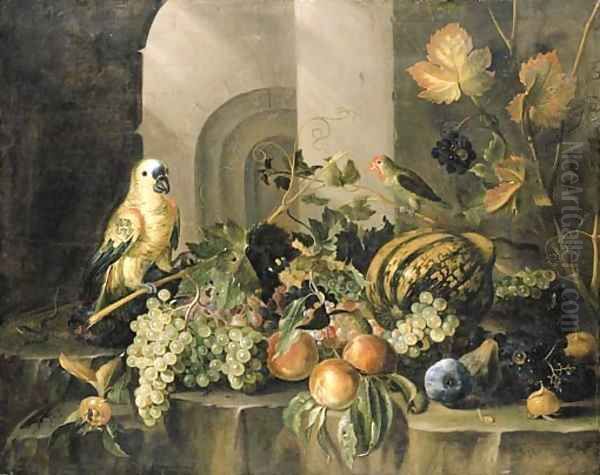 A parrot - view 1