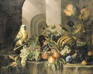 A parrot by Jacob Marrel