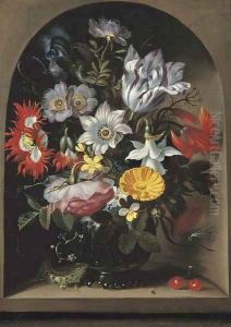 Anemones by Jacob Marrel