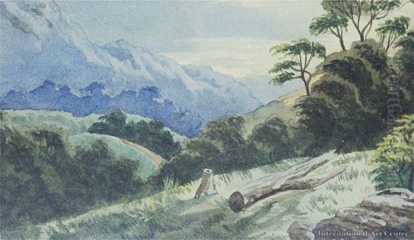 Rural Scene With Felled Tree - view 1