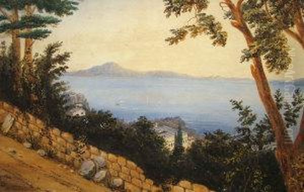 Extensive Coastal View - view 1