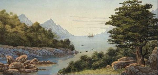 In Dusky Sound - view 1