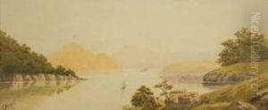 New Zealand Sounds Landscape With Vessels New Zealand Sounds Landscape With Vessels