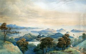 Coromandel by John Barr Clarke Hoyte