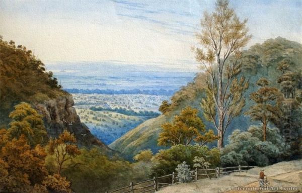 Dunedin - view 1