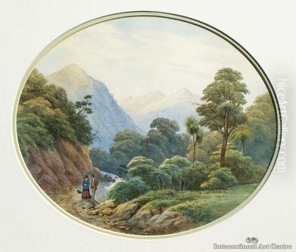 Minihaka From Bluskin Road - view 1