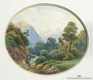 Minihaka From Bluskin Road