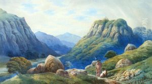 Remains Of Keroopas Pah, Te Whiti Gorge