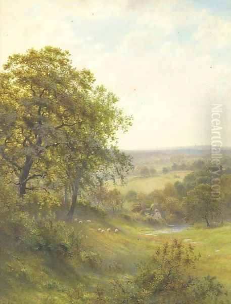 Sheep grazing in the evening light - view 1