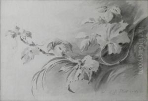 Study Of A Branch by Jean-Baptiste Huet