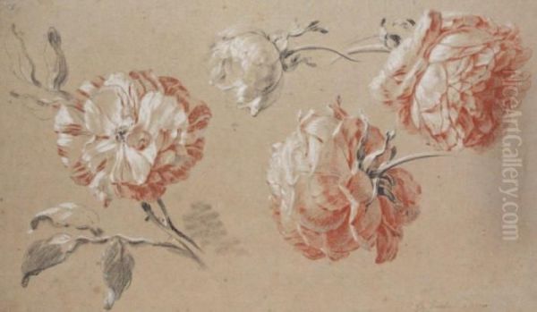 Etude De Roses - view 1