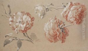 Etude De Roses by Jean-Baptiste Huet