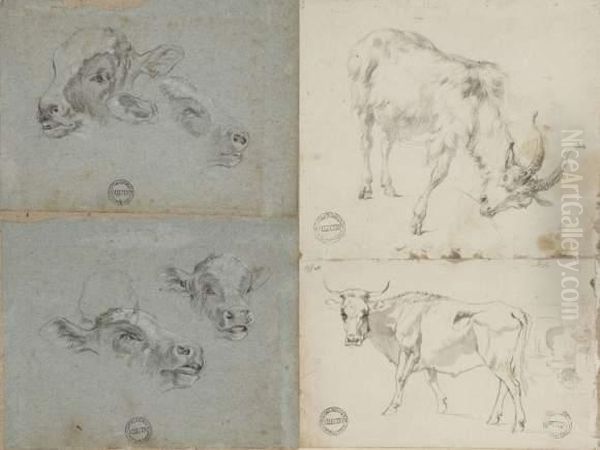 Une Chevre - view 1