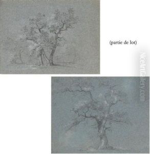 Suite De Quatre Etudes D'arbres