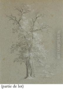 Suite De Huit Dessins: Deux Paysages Et Six Etudes D'arbres Suite De Huit Dessins: Deux Paysages Et Six Etudes D'arbres