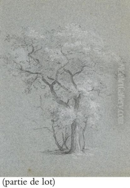 Suite De Deux Etudes D'arbres Et Deux Paysages - view 1