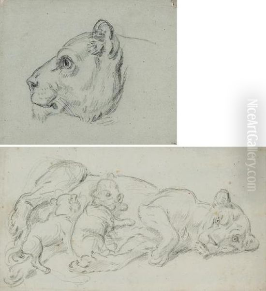 Une Tete De Lion Vu De Profil
Vers La Gauche; Et Une Lionne Allongee Avec Ses Deux Petits Lionceaux - view 1